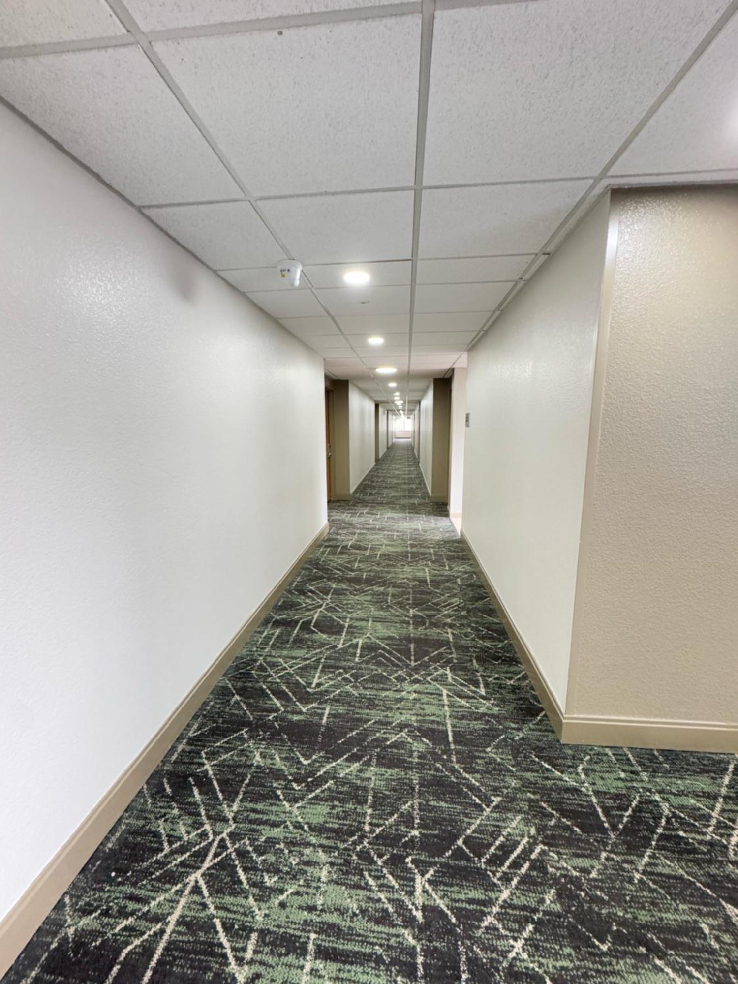 Super 8 By Wyndham Dallas Love Field Airport Ngoại thất bức ảnh